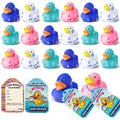 Cruise Rubber Duck Game Kit - 60 Pack